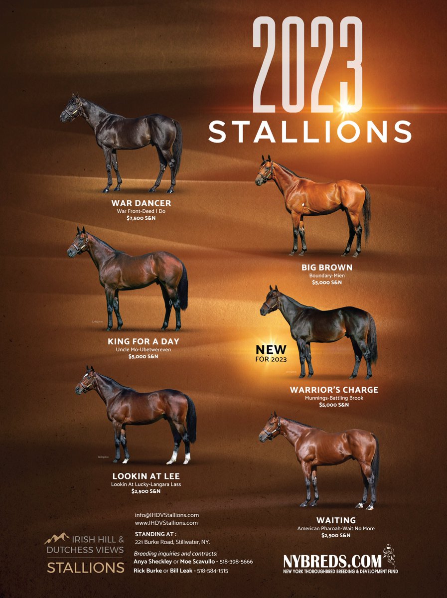 This Saturday, 12/10 from noon to 3 in the stallion barn at @IrishHillFarm Discuss your plans, have lunch & enter the drawing for a free 2023 season. Stallion show signing incentives will be available. Enter the drawing remotely =>ihdvstallions.com/ssr2023.html @DutchessViews