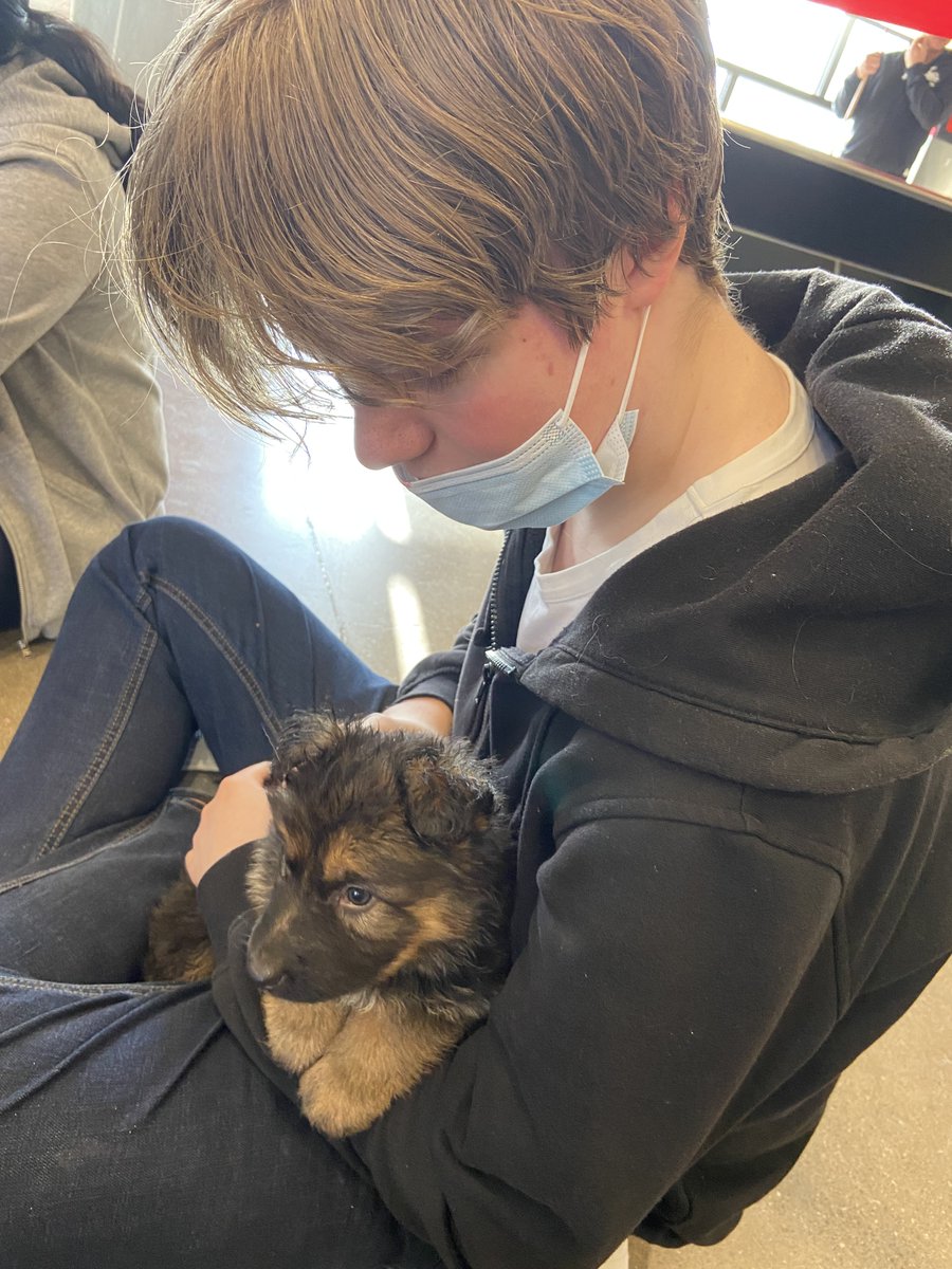 Seneca Dual Credit tweet media