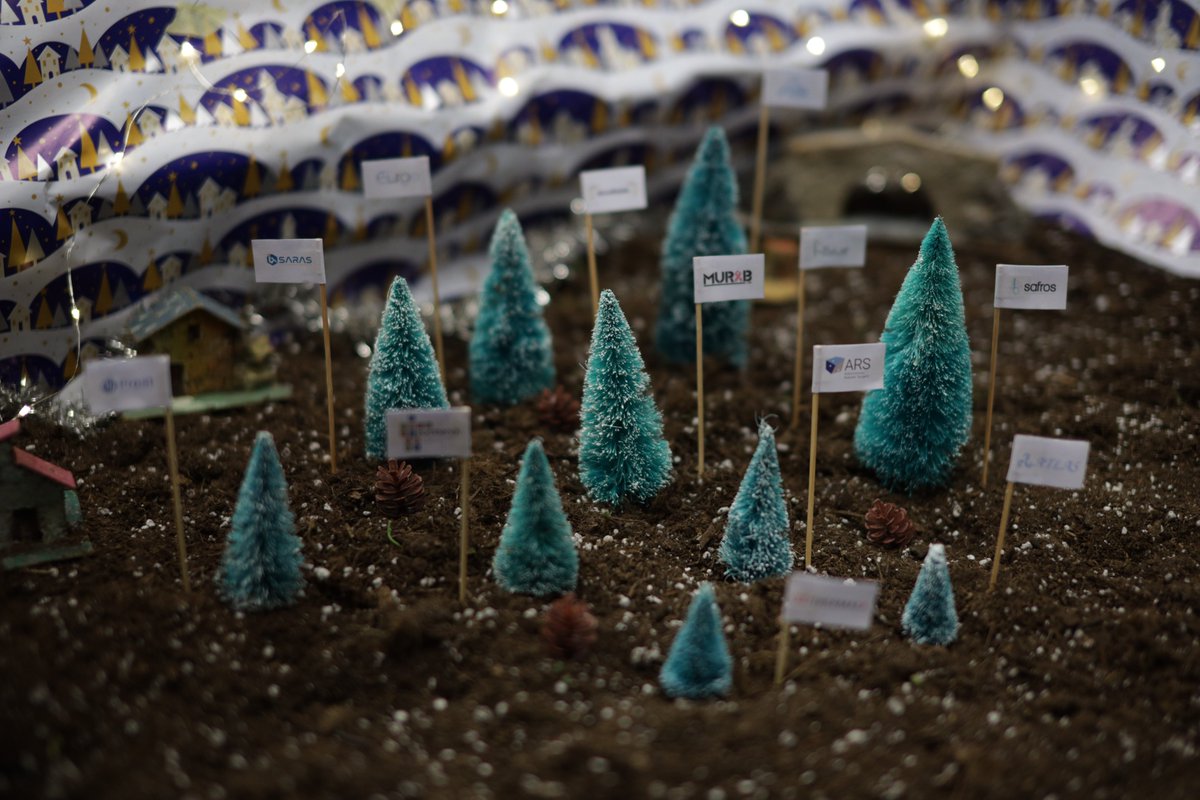 As good tradition wants, on 8th December we decorate the Christmas Tree.🎄🎄This is our little forest, do you like it!?

#Xmas2022 #RoboticXmas #robotica