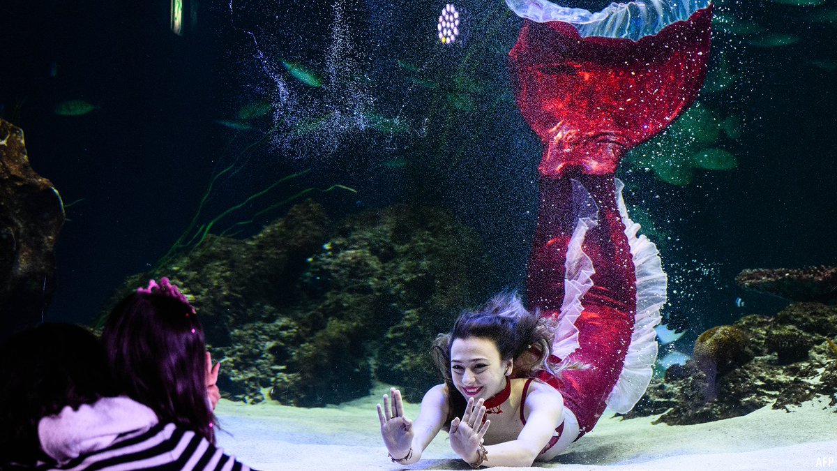 VOANews's tweet photo. 📷: Divers perform during a Christmas-themed underwater show at the Aqua Planet 63 aquarium in Seoul, South Korea, Dec. 8, 2022.  (AFP) https://t.co/G8sYukRRR2