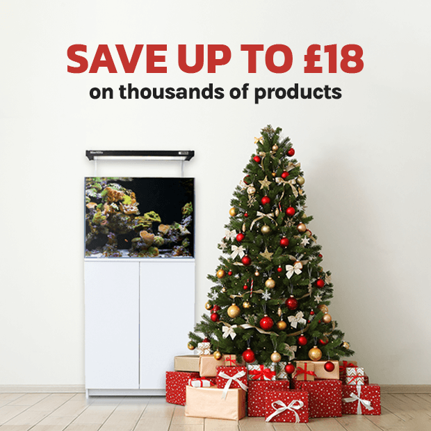 🎄SAVE UP TO £18🎄

Get up to £18 OFF your order this Christmas at Swell UK!🎁 

bit.ly/3ayq1Va