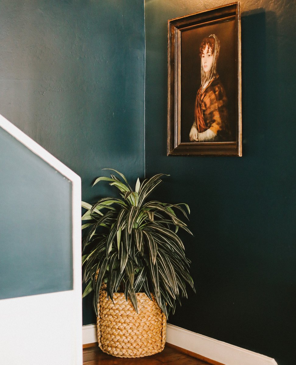 thehotelcarmel's tweet image. Our stylish stairwell.

📸 @wesleyandemma
#hoteldesign #hoteldesigner #curatedesign #designlove #interiordesigninspiration #architecturelove