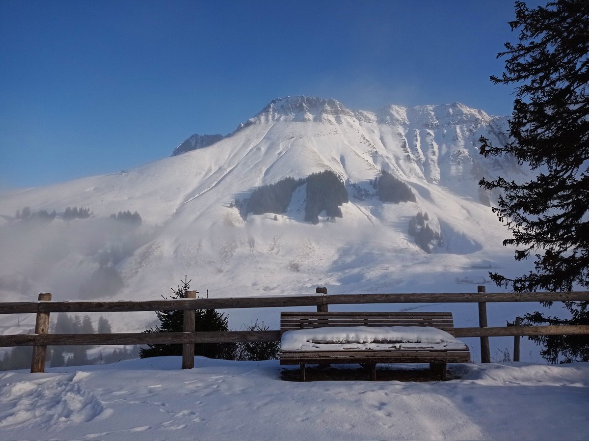 Martin Huber tweet media