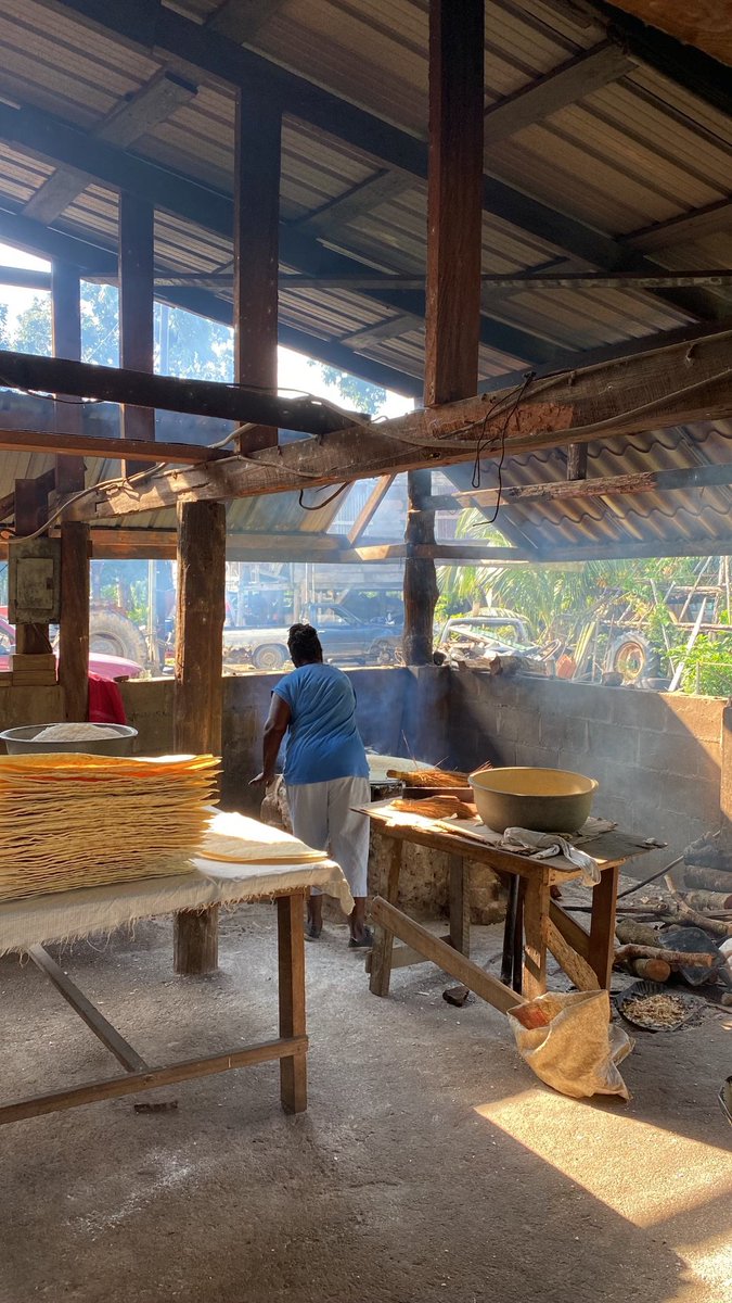 ignitebelize's tweet photo. A day in the life of an IGNITE videographer: operating a drone, checking out a farm, and creating art out of the seemingly mundane. All in a day's (or two) work! β‘οΈππ½
#IGNITEBelize #Placencia #Drone #LightsCameraAction #MediaProduction https://t.co/QwZY9t7LQB