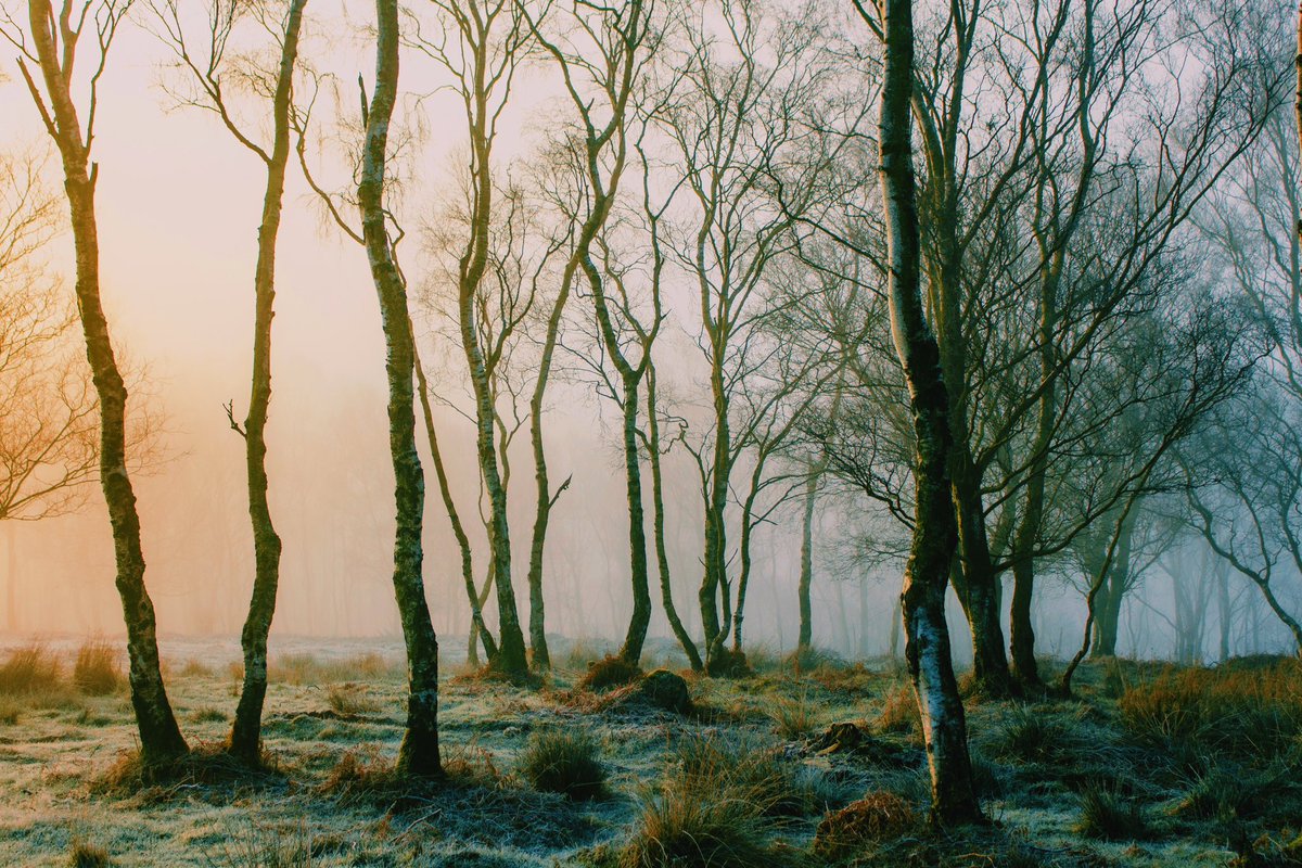 DanielCasson1's tweet photo. Frosty Mornings 🥶 // https://t.co/UTnEjKd5N0