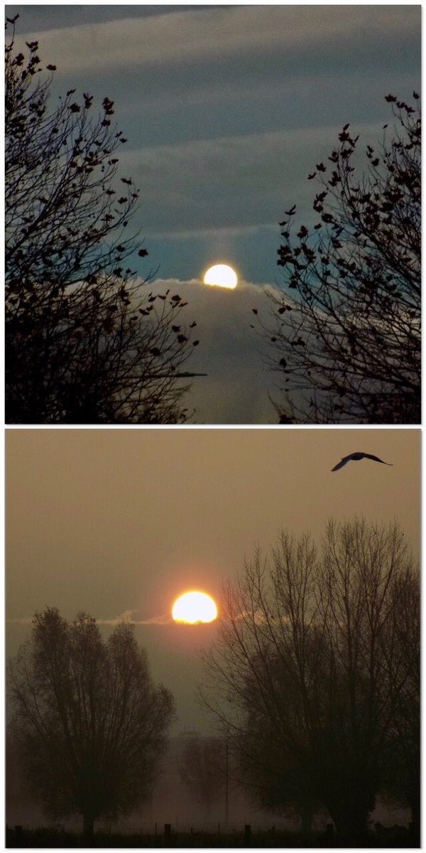 twintieaid28's tweet photo. Vergis je niet : dit zijn 2 verschillende hemellichamen elk praktisch op éénzelfde tijdstip van een #dag … de éne komt op , de andere gaat onder .. welke laat ik aan jullie #vrtweer #weerfoto #vollemaan #zonop https://t.co/ZX5erXX8ic