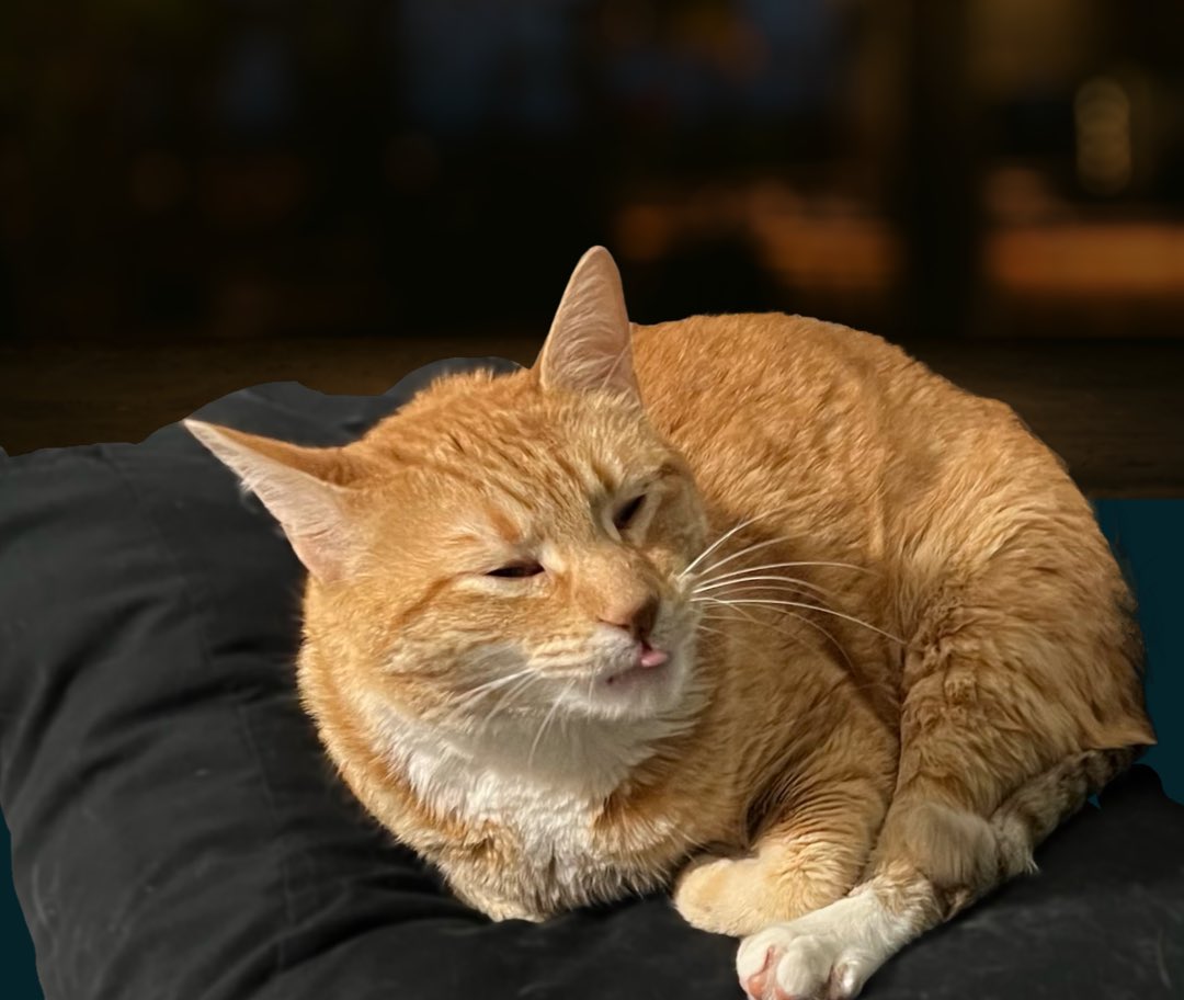 Attacked the humidifier. He knows what he did