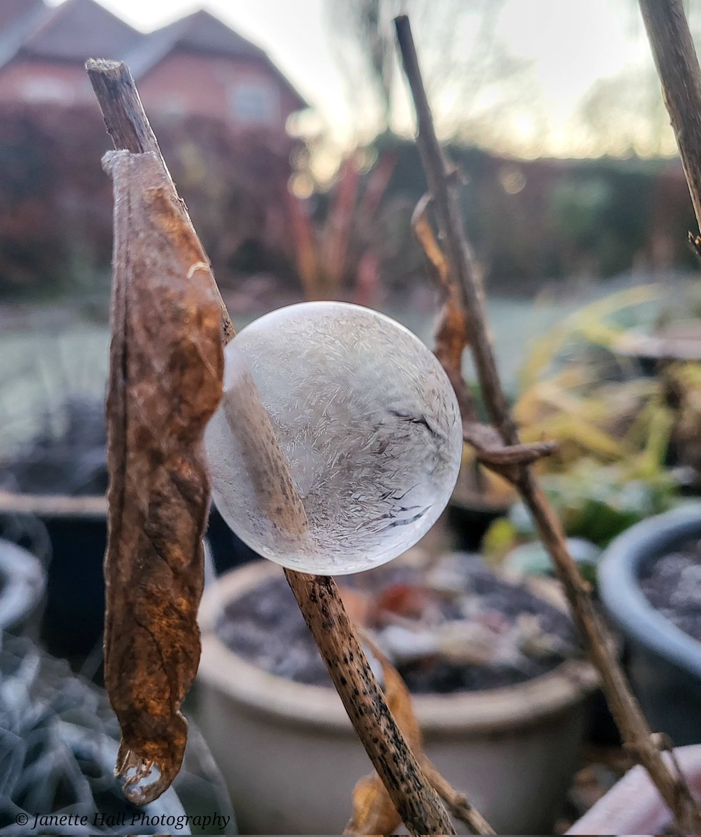 Met Office tweet media