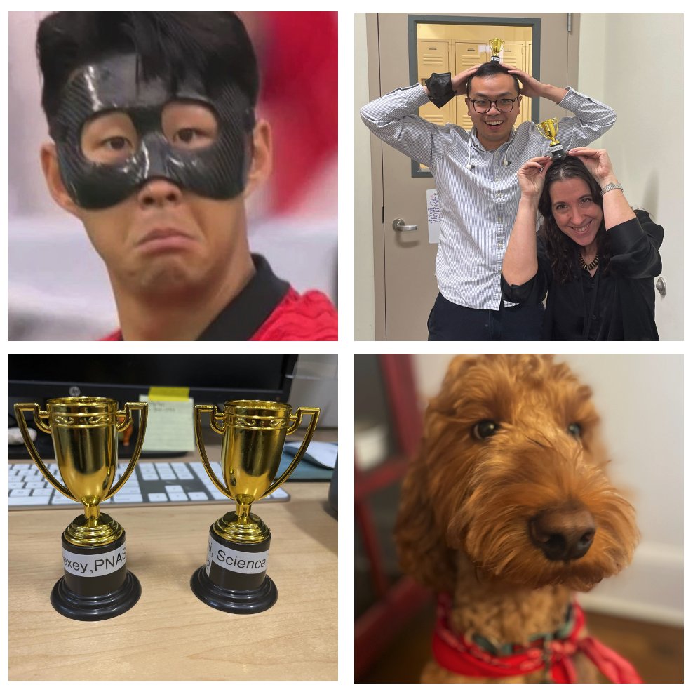 Giovanni Ferrari PhD (@ferrag02) on Twitter photo Two "Churro Awards" this month to celebrate @EstiCastillero 's Science Translational Medicine and <a href="/Phil_Xue/">Yingfei Xue</a> / <a href="/aabramov_md/">Alexey Abramov, MD MS</a> 's PNAS ? Impressive, most impressive <a href="/lab_ferrari/">FerrariLab @Columbia</a> ! our Chief Vision Office is really proud 🐶🐕🦺🧪🧬🫀 Two "Churro Awards" this month to celebrate @EstiCastillero 's Science Translational Medicine and <a href="/Phil_Xue/">Yingfei Xue</a> / <a href="/aabramov_md/">Alexey Abramov, MD MS</a> 's PNAS ? Impressive, most impressive <a href="/lab_ferrari/">FerrariLab @Columbia</a> ! our Chief Vision Office is really proud 🐶🐕🦺🧪🧬🫀
