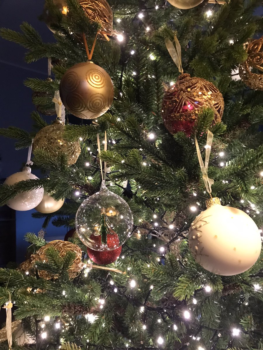 RosariaMoschell's tweet photo. Et voi là! #Christmas https://t.co/9cc7LejKA3