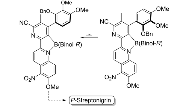 angew_chem's tweet photo. A Dynamic Thermodynamic Resolution Strategy for the Stereocontrolled Synthesis of Streptonigrin (Harrity) @ScienceShef #openaccess https://t.co/fFq1jNTUmA https://t.co/nO7OzQv6sX