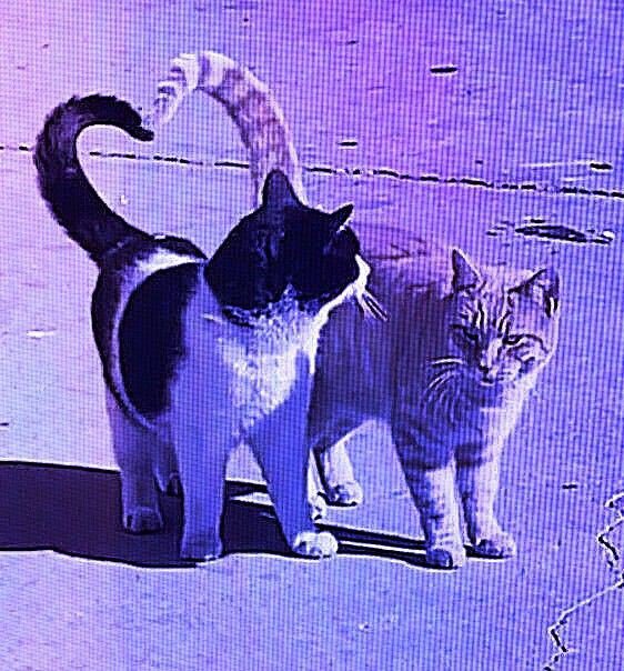 acid666host's tweet photo. https://t.co/Vk4AxlkApS