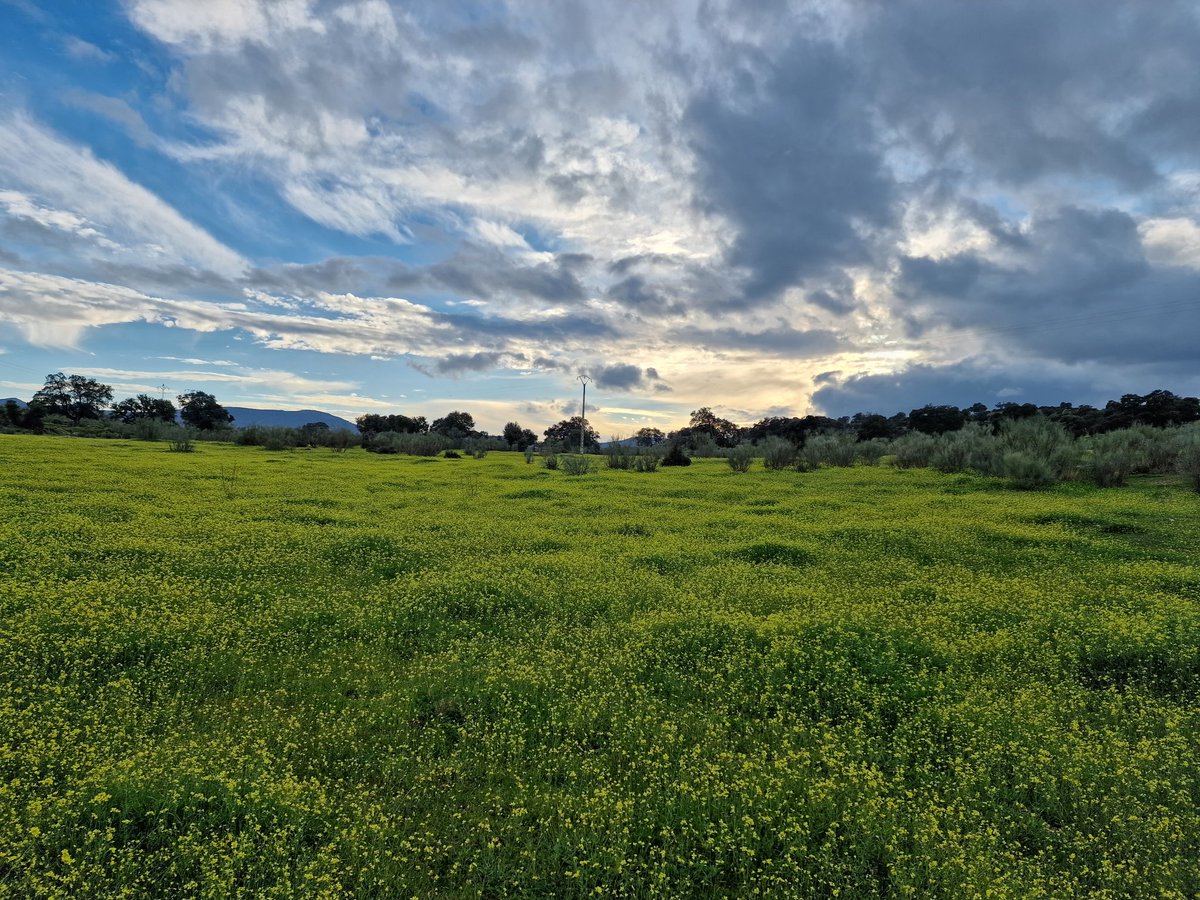 #Extremadura #Gredos