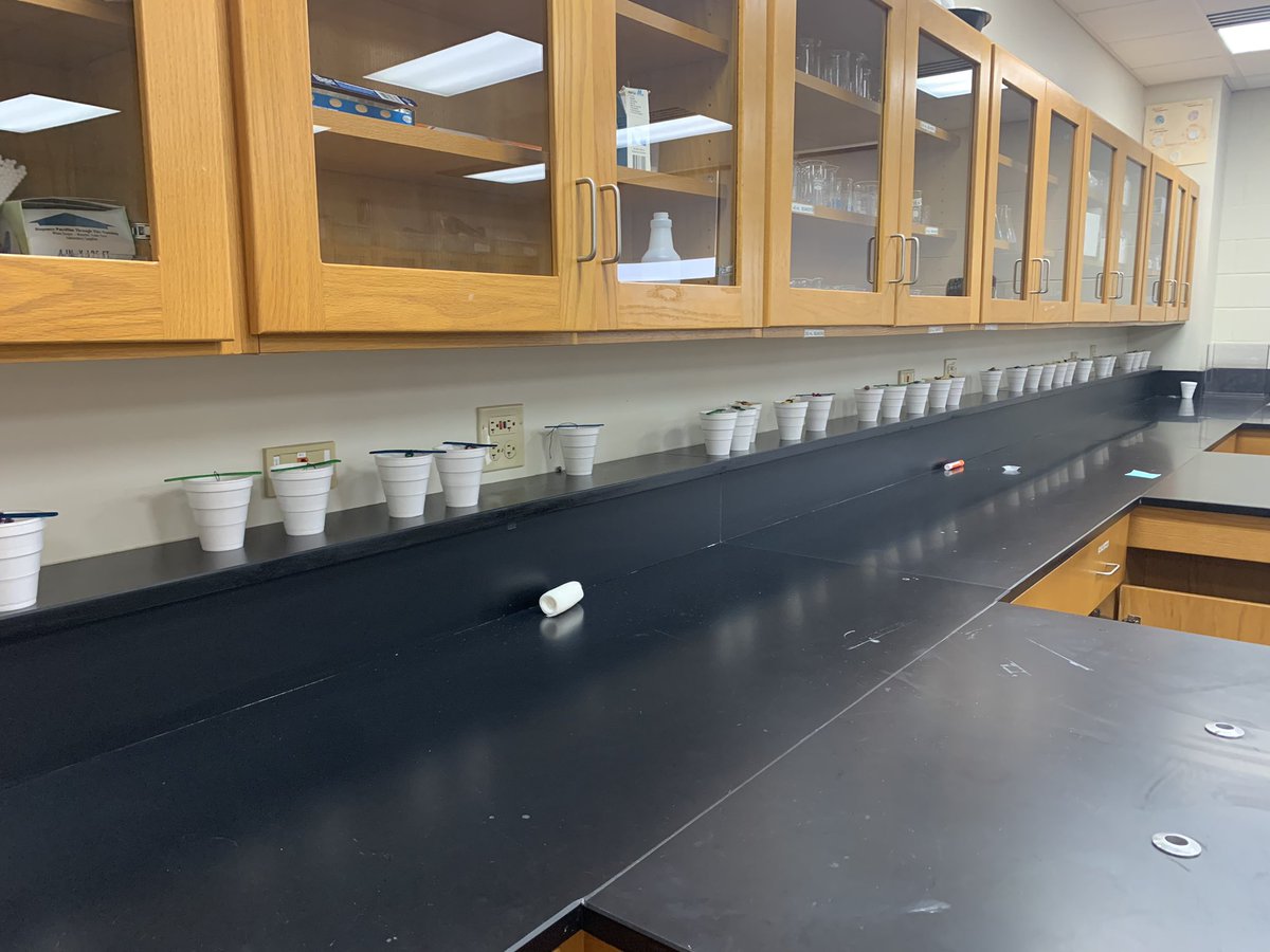 pd1317's tweet photo. Crystals are cooking! No wait, they are chilling😊!
#desaichem #supersaturatedsolutions https://t.co/lXUobJKfrq