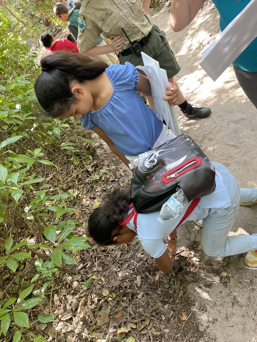 Adrianna Hunt (@hunt4starfish) on Twitter photo Our <a href="/ForestHillElem/">Forest Hill Elem.</a> owls learning about habitats and tools! Awesome job 4th grade collecting data and learning through observations ππΌπ―π₯ π¦#sciencepros <a href="/WhittneyHelper/">Whittney Helper</a> #vamosbuhos Our <a href="/ForestHillElem/">Forest Hill Elem.</a> owls learning about habitats and tools! Awesome job 4th grade collecting data and learning through observations ππΌπ―π₯ π¦#sciencepros <a href="/WhittneyHelper/">Whittney Helper</a> #vamosbuhos