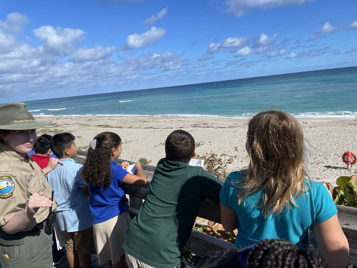 Adrianna Labrys tweet media