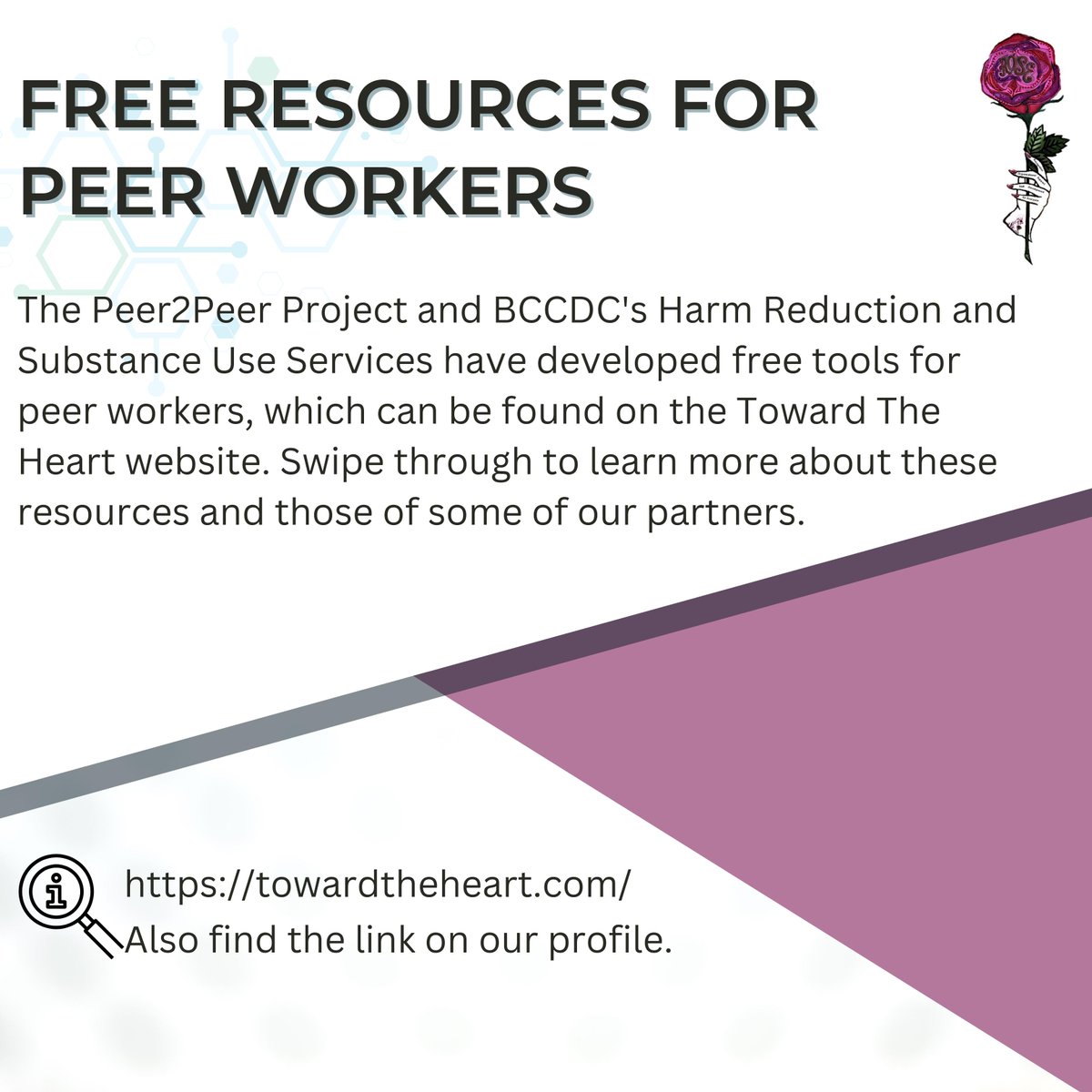 The Peer2Peer Project tweet media