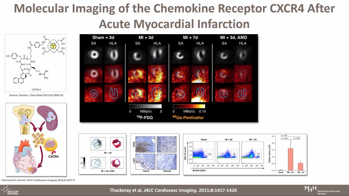 DorbalaSharmila's tweet photo. Amazing @BWHCVimaging grand rounds by Dr. Frank Bengel. The future role of #CVmolecularimaging is bright. Imaging post MI inflammation and heart brain connections emerging. The insular cortex links cardiovascular function in primary brain injury @MyASNC @SNM_MI https://t.co/p1NyrCbj63