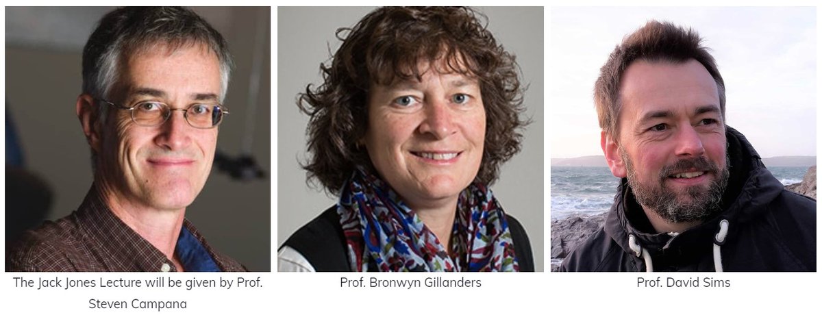 📣 SO excited to announce our first confirmed @fsbi2023 keynotes! Three science rockstars: Profs Steve Campana, Bronwyn Gillanders (sponsored by <a href="/SeaUnicorn2020/">Sea-Unicorn</a>) &amp; David Sims🐟

Submit abstracts here: fsbi.org.uk/symposium-2023! Registration opening soon!
<a href="/BronGillanders/">Bronwyn Gillanders</a> <a href="/TheSimsLab/">David Sims</a>