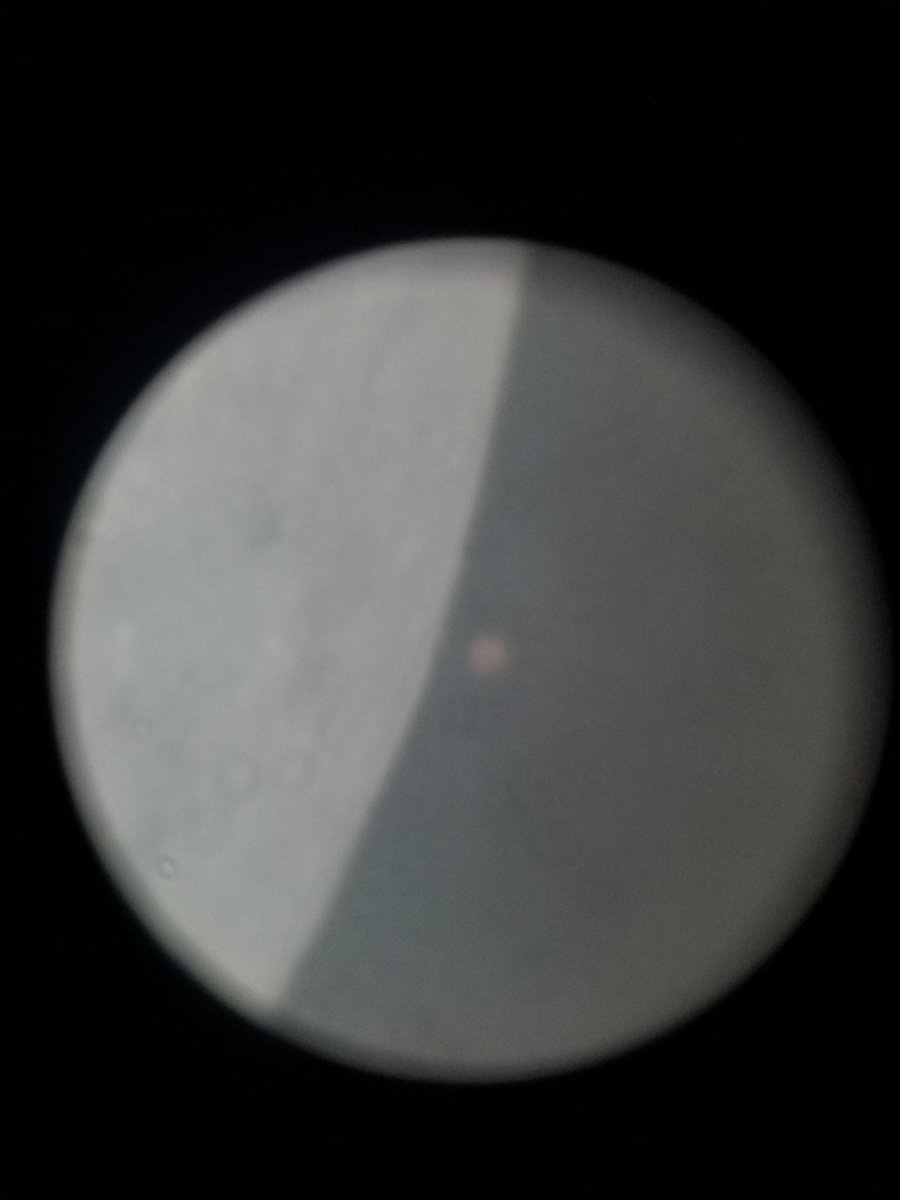 StargazingGoat's tweet photo. Got my own Mars/Moon #occultation pictures. It's just me holding my phone to the eyepiece of an 8" SCT "#telescope, but I'm still happy. And btw, it was behind a thin layer of clouds the whole time. 

#moon #mars #occult #astronomy #astrophotography #night #stargazing https://t.co/uLUKffLKwi