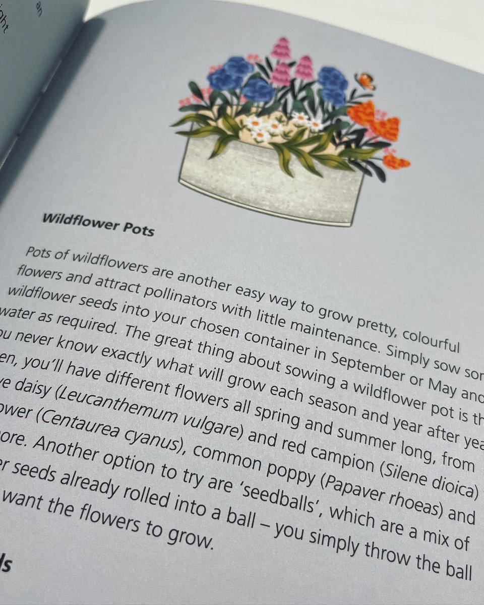 Ellen Mary tweet media