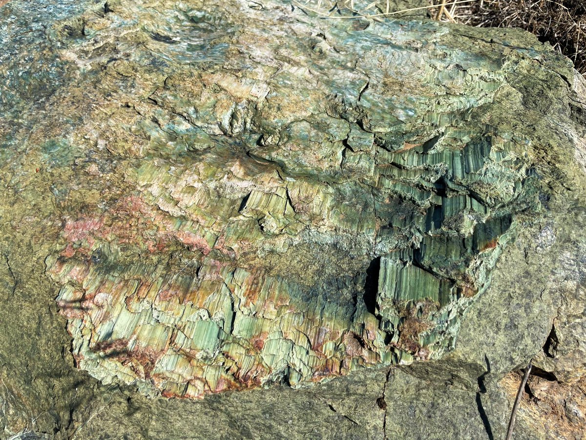 USGS Earthquakes tweet media