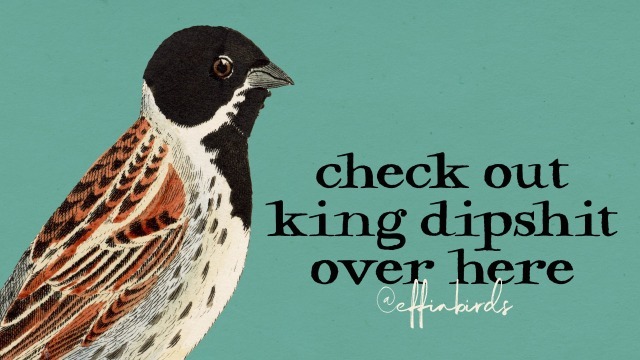 EffinBirds's tweet photo. https://t.co/5GNQnPYqWi