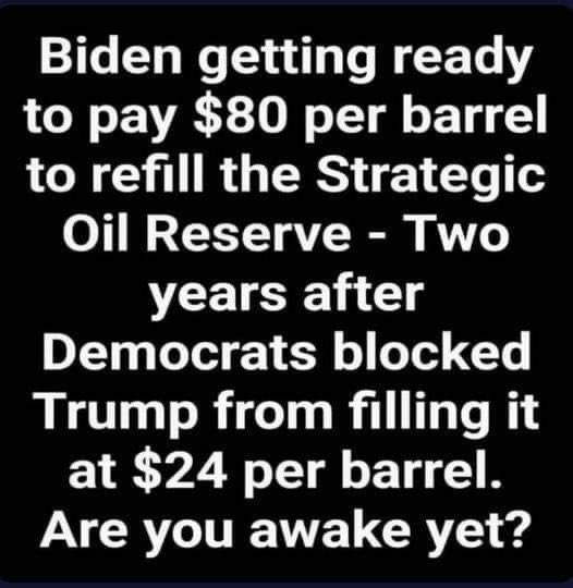 Irish Warrior tweet media