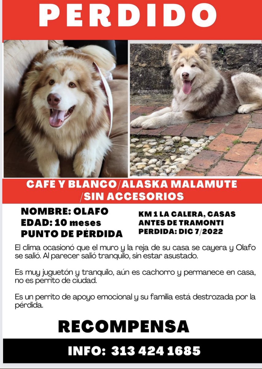 DCoronell's tweet photo. Por favor ayúdenme a difundir este aviso. Una persona está sufriendo mucho. https://t.co/nWg35bc6OX