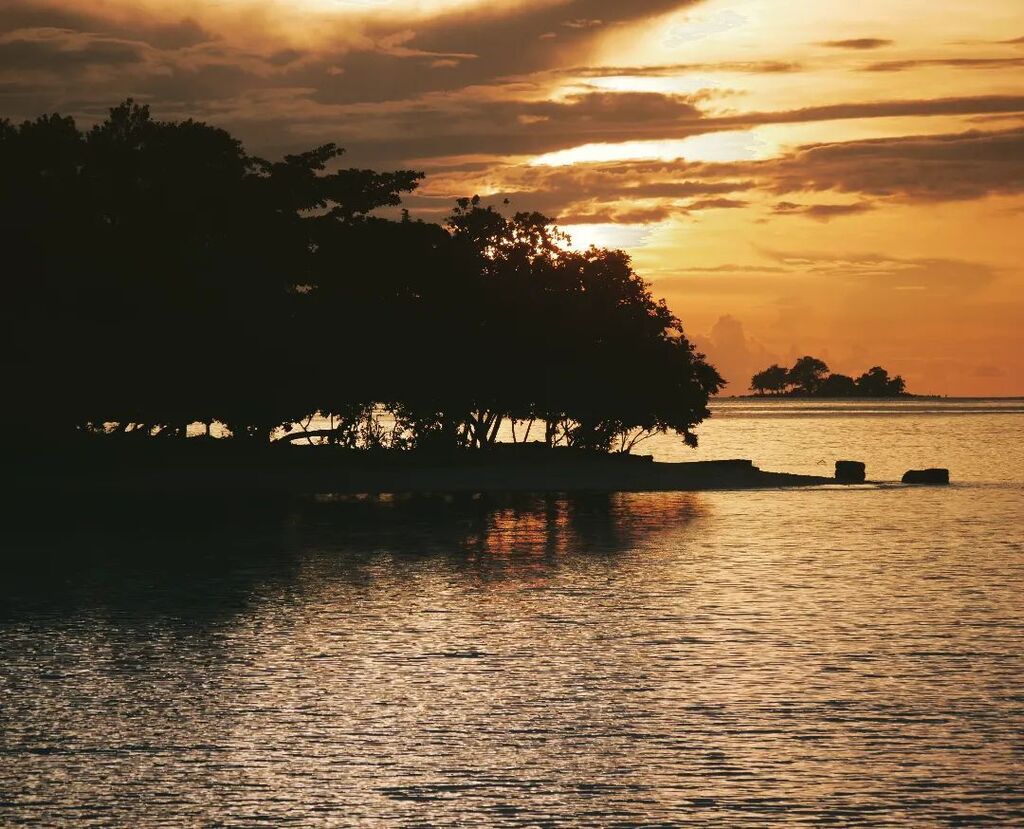 Phil King tweet media