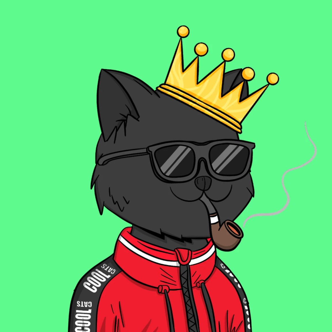 Cool Cats Society tweet media