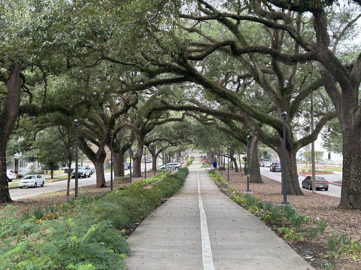 MikeLydon's tweet image. Now, this is a greenway. 📍 Baton Rouge
