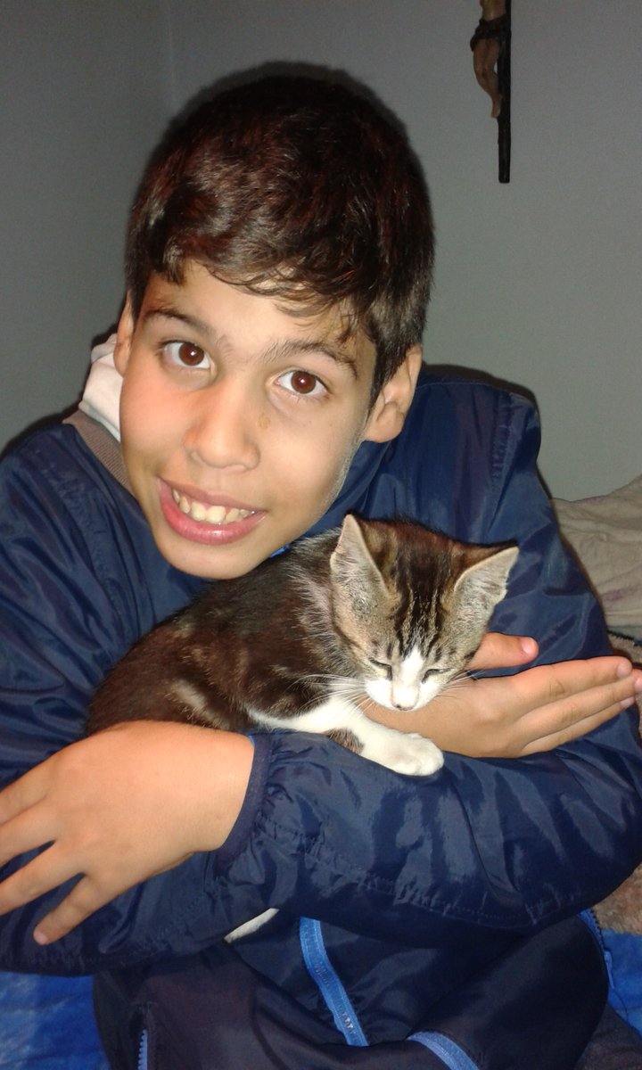 Bedoscios's tweet photo. Graças a ti tive os meus melhores 8 anos de vida
Estarás sempre no meu❤️
Obrigado, Joka🌟 https://t.co/SuDcdX9qbw