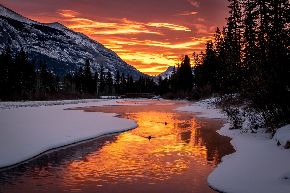 Beautiful sunrise this morning captured by Fabby Klatt in #Canmore #Alberta #BowValleyNetwork