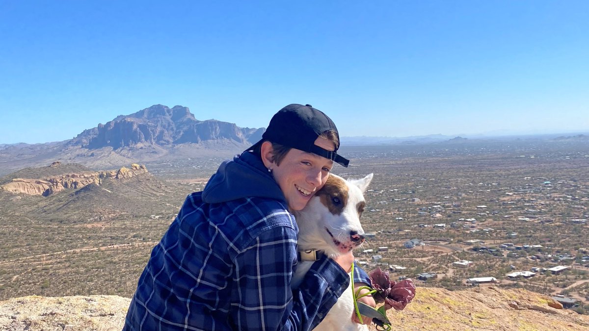 Bruce Petillo tweet media