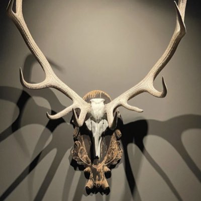 MizginIssa's tweet image. #NewProfilePic