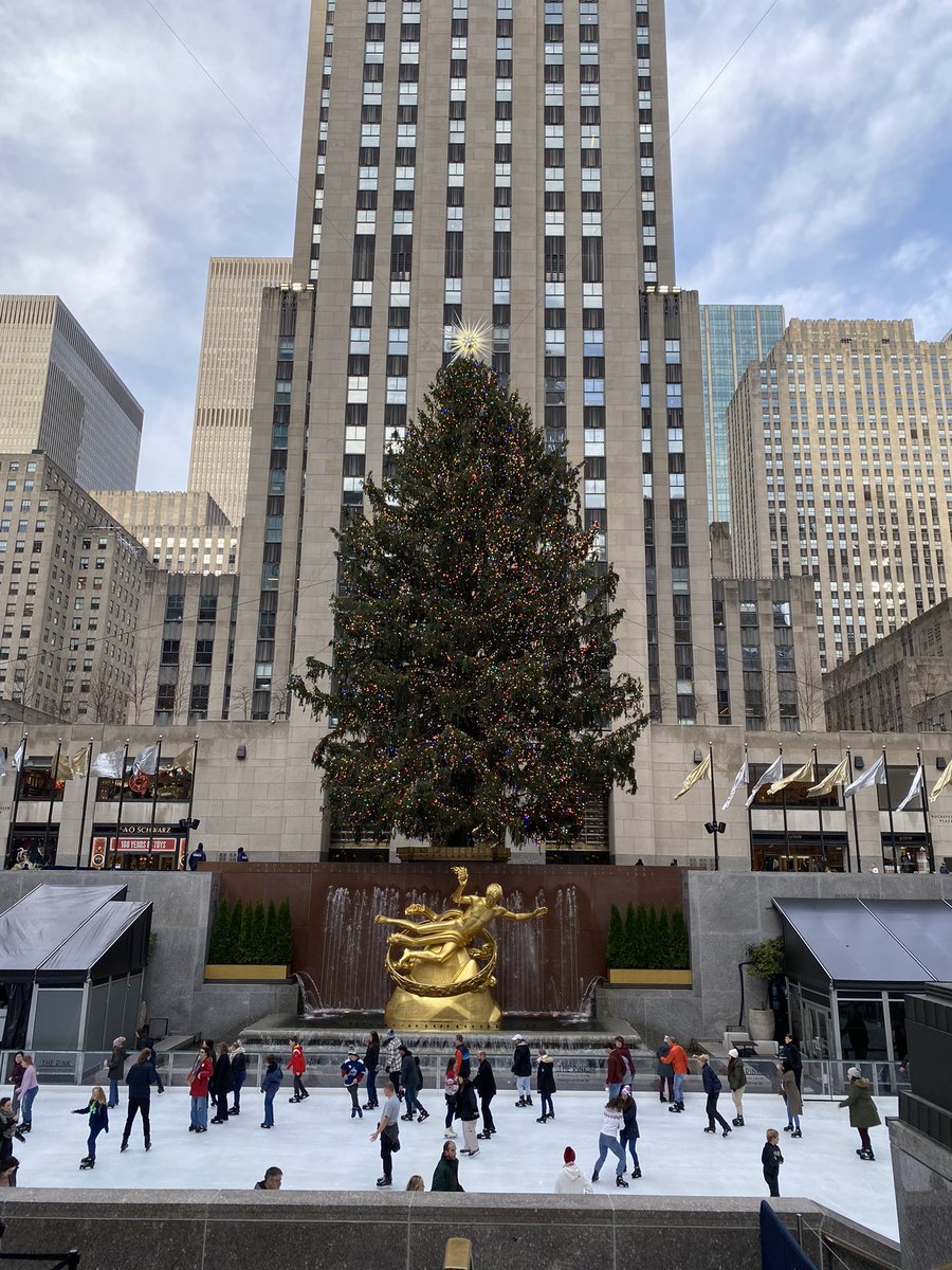 NAHSstudentgov's tweet photo. Fun in NYC for our SGA field trip🦅🏙🎄Thank you @TGostony for making this possible! https://t.co/btzQ3YK92C