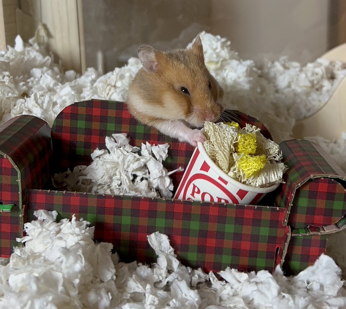 KatDestination's tweet photo. Popcorn? https://t.co/y34oIxeo49