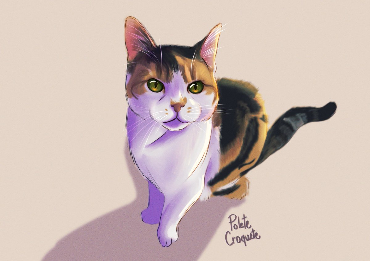 PoleteCroquete's tweet photo. Kitty comm no.7 - Mia for SnowLilly on instagram https://t.co/fRqywV8Ziw