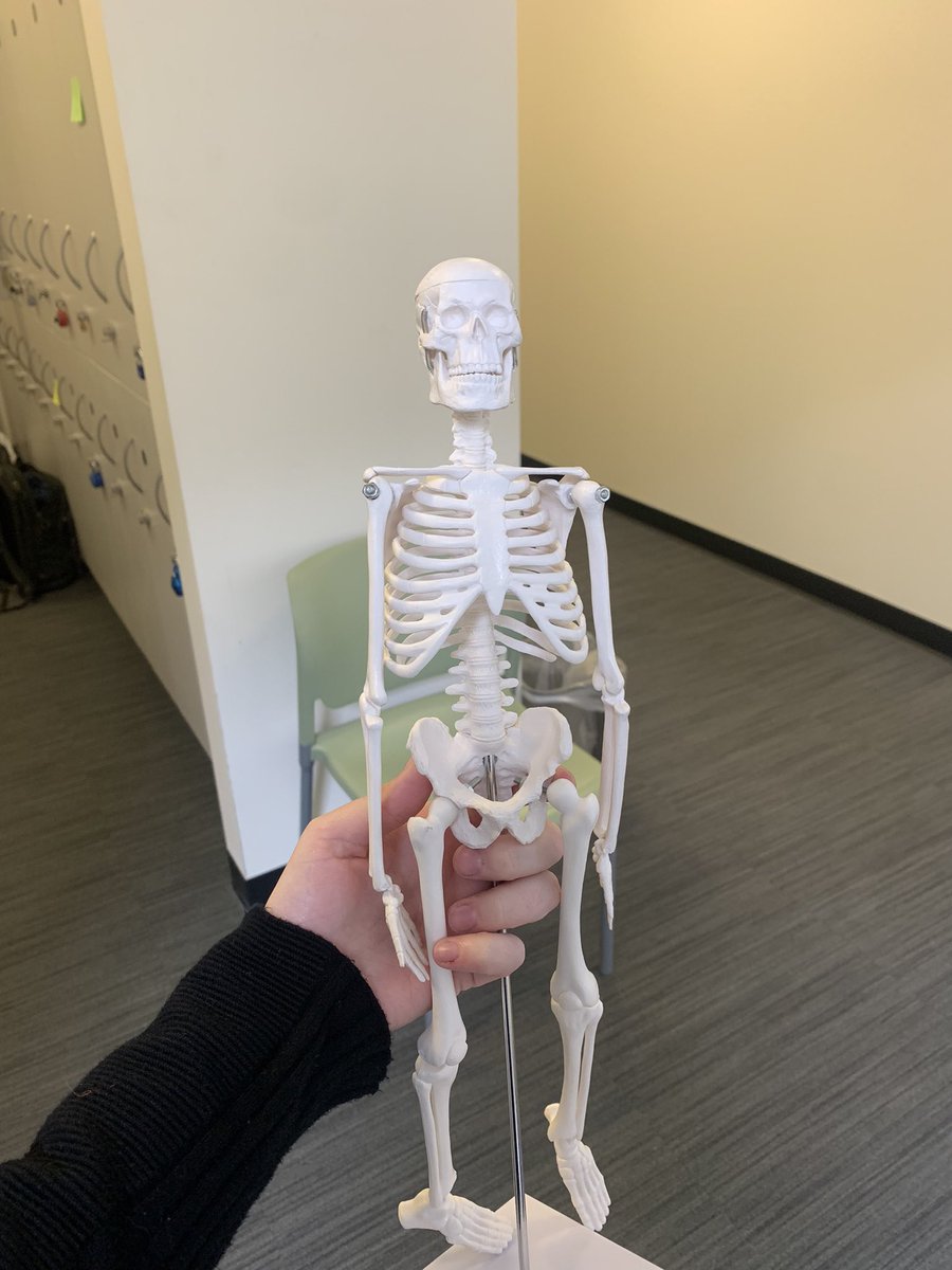 Courtney Schollian, SPT tweet media