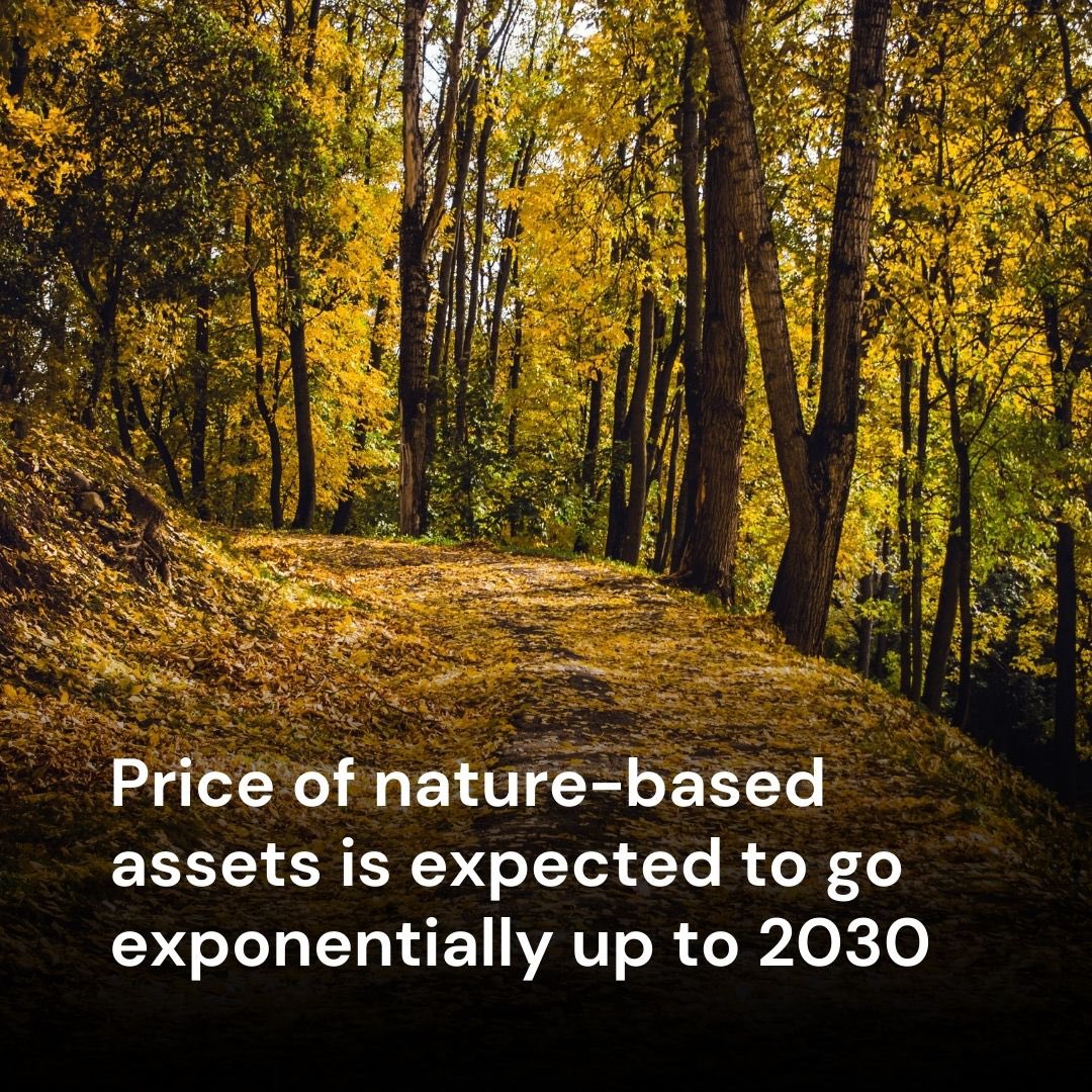 BlueCarbonDxb's tweet photo. Companies are pledging to help stop climate change by reducing their own greenhouse-gas emissions as much as they can. Which organizations have you seen make a difference?
#carbon #carboncredits #emissions #emission #nature #natureassets https://t.co/LHclYURBsX