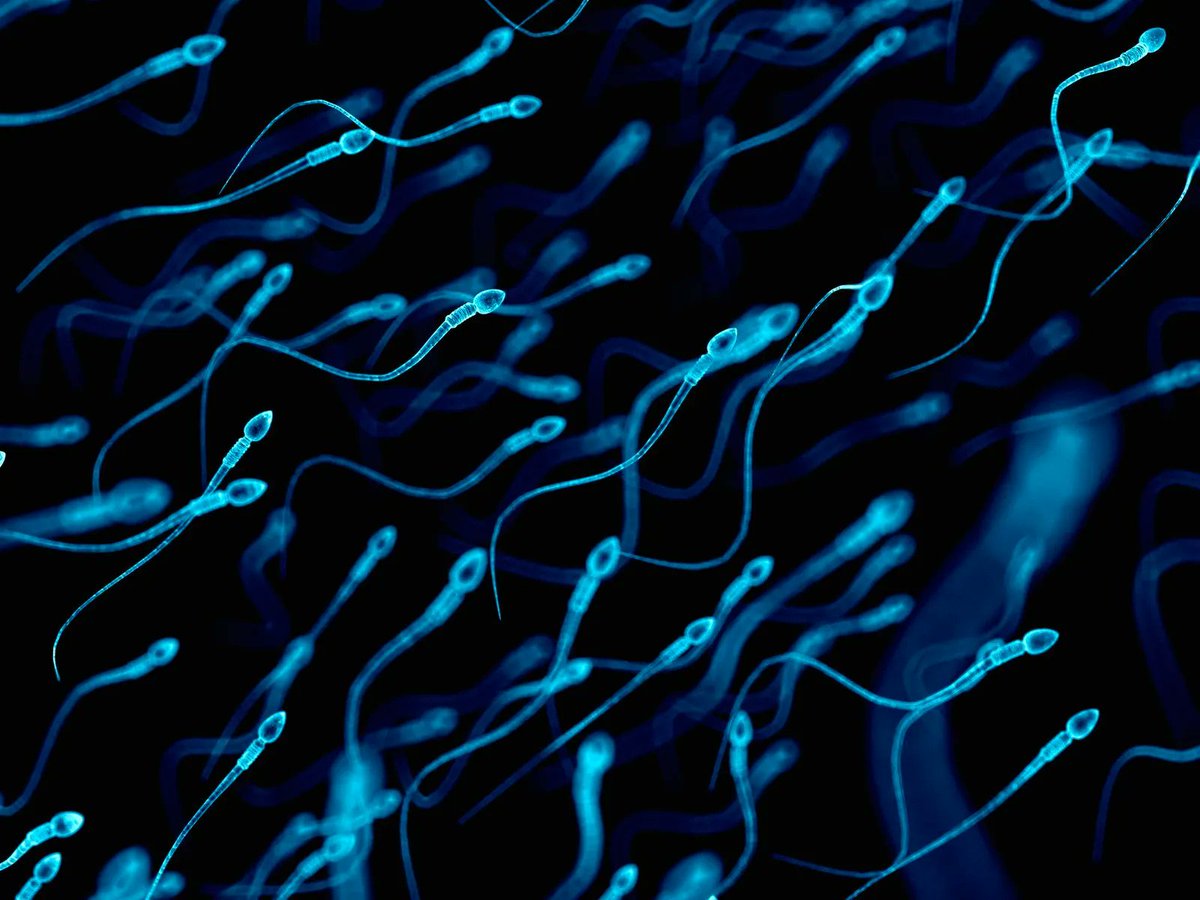 Is the human sperm count declining? Read more in this study from the Human Reproduction Update journal. #sperm #decline #fertility #reproductivedisorders #health buff.ly/3GD03xP