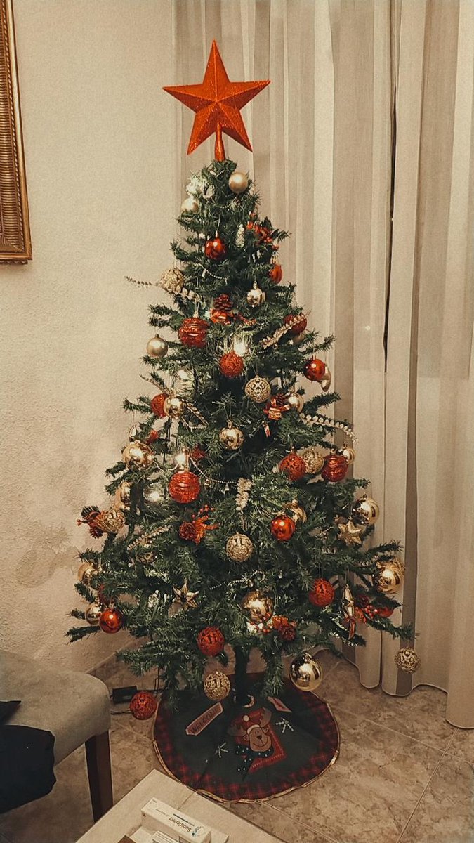 Nos hemos levantado, hemos ido a comprar las cositas de navidad, hemos pasado el día juntos y hemos puesto el árbol. 

No hay quien supere ese plan 🎄✨💚
Te adoro <a href="/frangomez03/">frangomez</a>