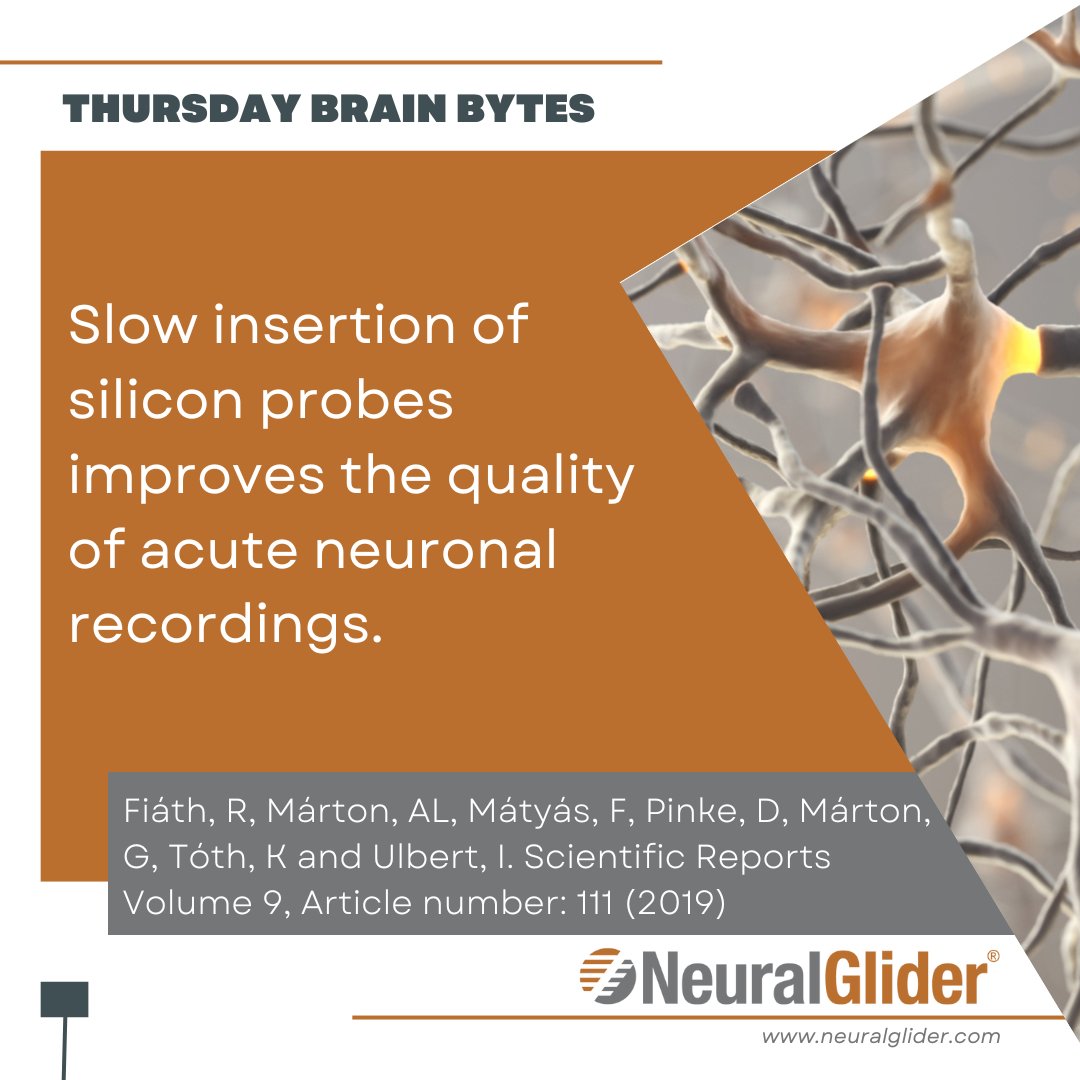 NeuralGlider's tweet photo. Did you know?

#ThursdayBrainBytes #NeuralGlider #Plexon #NeuroNexus #Blackrock #neural #brain #neuralimplant #Neuroscience @PlexonNeurosci @neuronexustech @RedCrowCrowd @AliraHealth @MaureenMulvihi3 @ActuatedMedical https://t.co/yl3lfgAvca