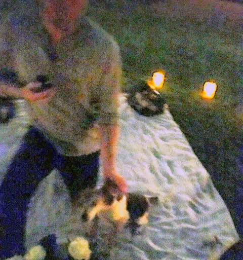 I keep wondering how this pic was taken. Like was Meghan still FaceTiming her bestie when Harry proposed? Or did she film it? Or did they recreate it after? 🤔 #HarryandMeghanNetflix