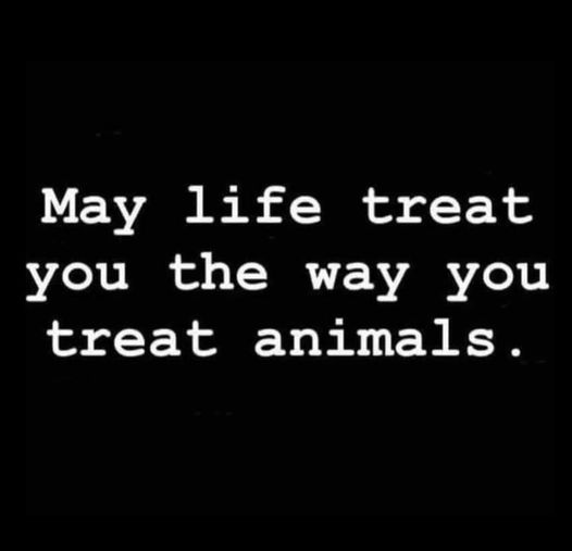 AmericanIndian8's tweet image. #INDIGENOUS #TAIRP