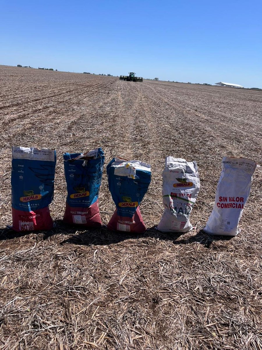 agroleben's tweet photo. Ensayo líderes en relacionamiento 2022/2023. Híbridos presentados: DK 7447 VT3P; DK 7272 TRE; DK 7303 TRE; DK 7208 TRE; DK 7038 Experimental, junto con híbridos de los semilleros Brevant Semillas, Pioneer Semillas y Nidera Semillas. @Bayer @FieldView https://t.co/RsQ3Hbr3go