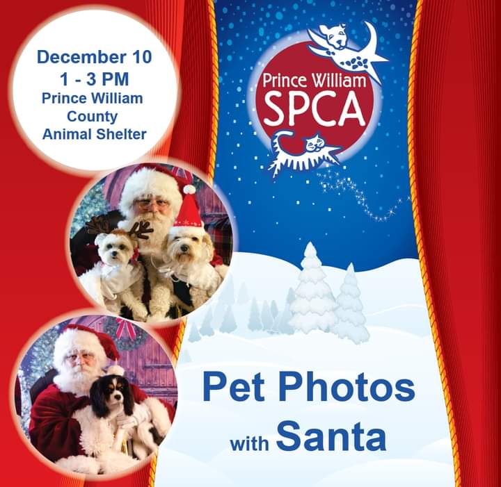 Prince William SPCA (@PWSPCA) / Twitter Prince William SPCA (@PWSPCA) / Twitter