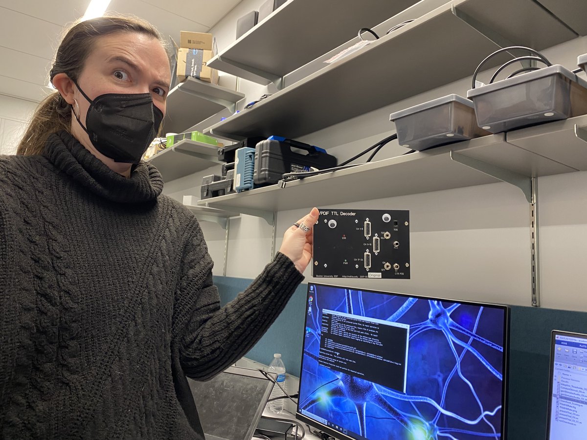 Lab in Multisensory Neuroscience tweet media
