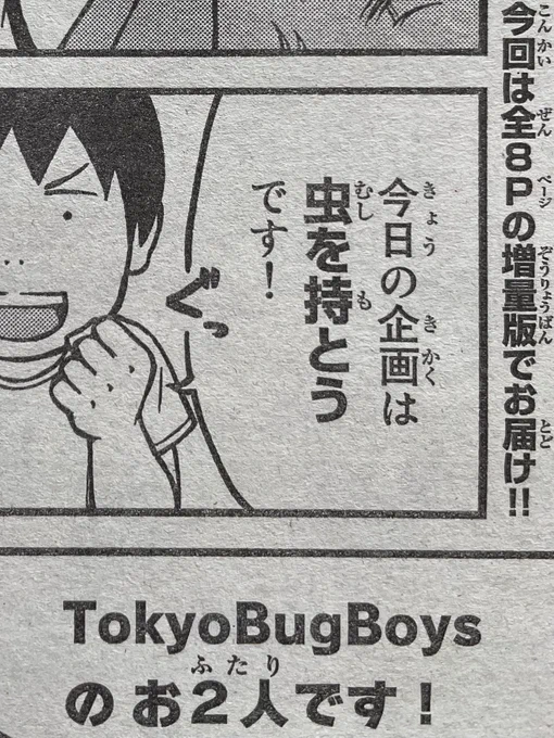 本日『別マガ』1月号発売です。
今月はTokyoBugBoysの平井文彦さん(@uta_31)と法師人響さん(@tritomini)にご同行いただき、虫を持ちに行ってきました! 